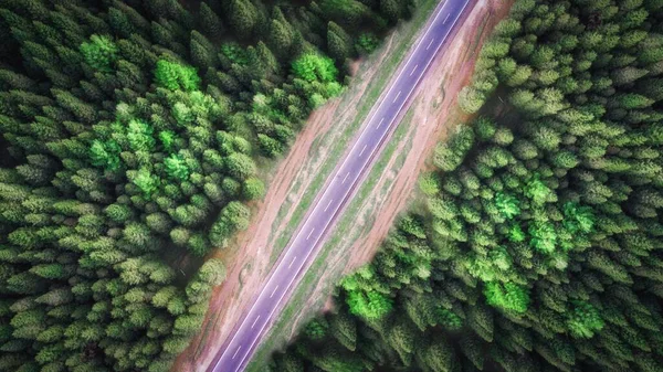 Uma Visão Olho Pássaro Uma Estrada Uma Floresta Abeto Densa — Fotografia de Stock