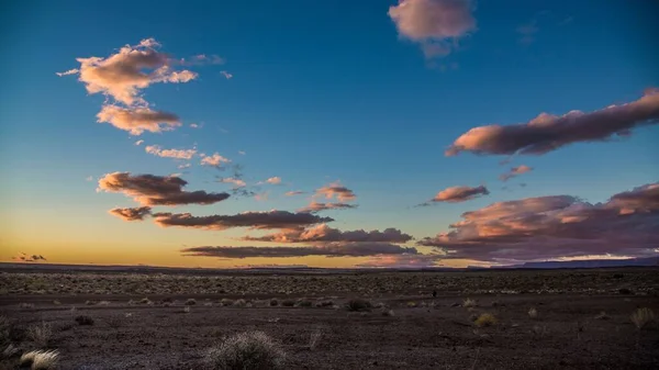 Een Prachtig Landschap Van Horizon Van Een Veld Zonsondergang — Stockfoto