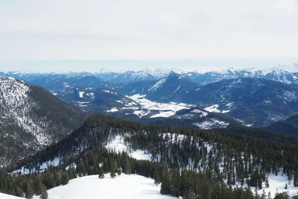 Панорама Засніженого Гірського Хребта Деревами Взимку Німеччині — стокове фото