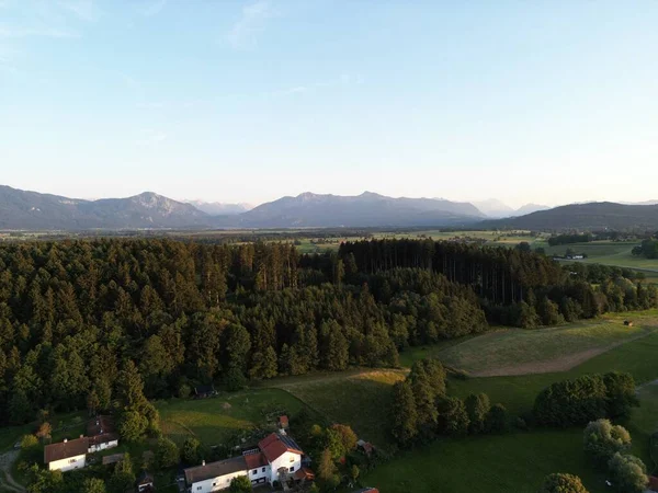 澄んだ空を背景に 緑豊かな木々や田舎住宅が立ち並ぶ美しい景観 — ストック写真