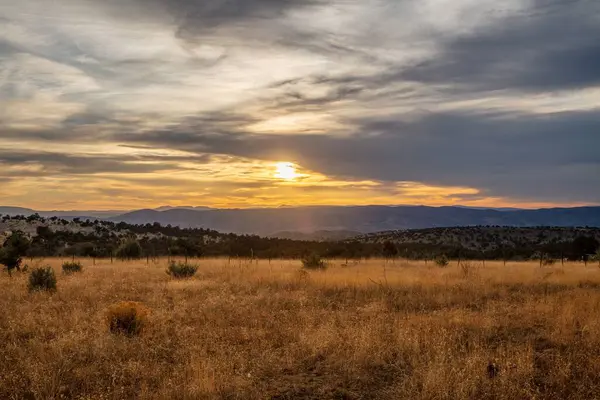 Вид Золотое Поле Красивом Закате — стоковое фото