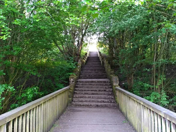 Uma Bela Paisagem Parque Verde Com Escadas Subindo Uma Ponte — Fotografia de Stock