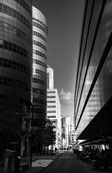 Tiro Vertical Tons Cinza Uma Rua Com Arranha Céus Rotterdam — Fotografia de Stock