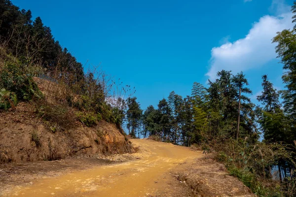 Sentiero Escursionistico Sulla Soleggiata Montagna Chongqing Yufeng — Foto Stock
