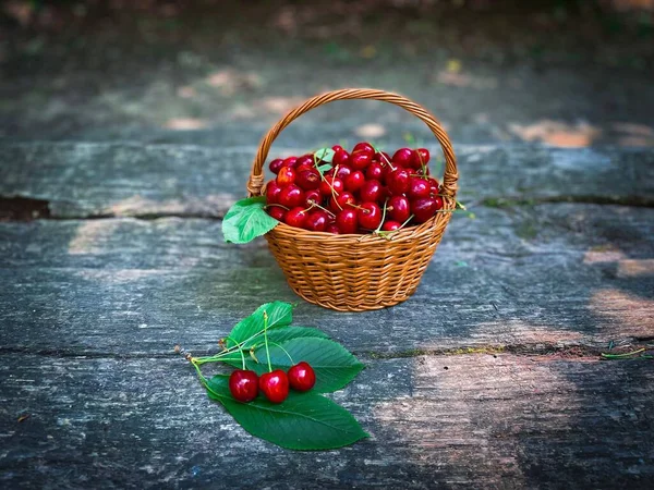 Una Cesta Cerezas Rojas Regordetas Con Hojas Verdes Exuberantes Nexto —  Fotos de Stock