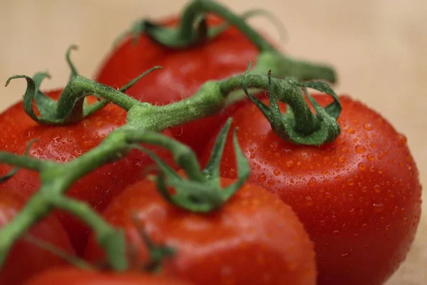 Zbliżenie Świeżych Pomidorów — Zdjęcie stockowe