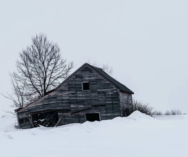 눈내리는 겨울날 시골에 — 스톡 사진