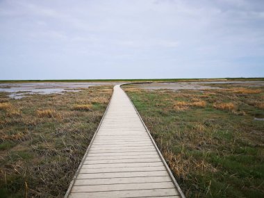 Bulutlu bir gökyüzüne karşı ıslak bir çayırda ahşap bir patika