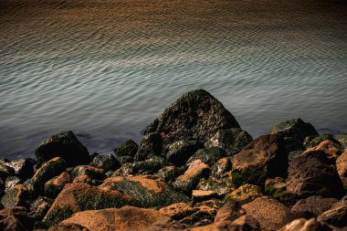 Arkasında dalgalı bir deniz olan kayalık bir sahilin güzel bir görüntüsü.