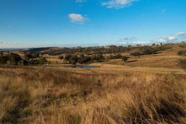 Avustralya, Mudgee 'de mavi bir gökyüzü altında büyüyen ağaçlarla çevrili bir arazinin hava görüntüsü.