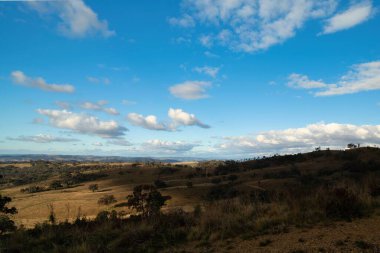 Avustralya, Mudgee 'de mavi bir gökyüzü altında büyüyen ağaçlarla çevrili bir arazinin hava görüntüsü.