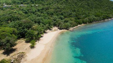 Karayipler 'de bir plaj manzarası.
