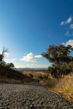 Avustralya, Mudgee 'de mavi bir gökyüzünün altında büyüyen ağaçlarla çevrili alçak açılı bir manzara.