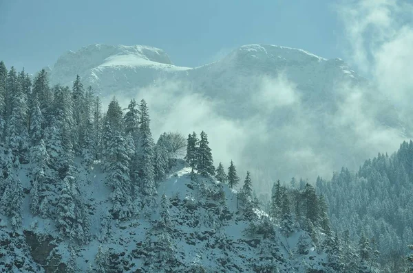 Una Vista Panorámica Con Bosque Abetos Cubierto Nieve Las Montañas —  Fotos de Stock