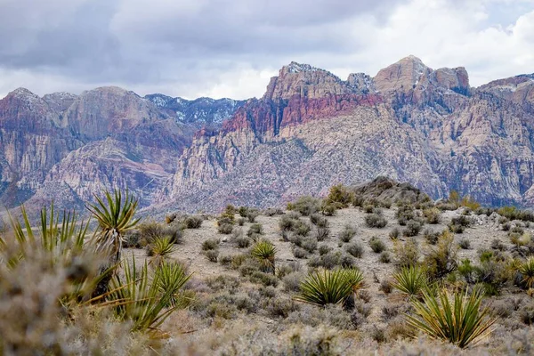 Une Belle Vue Sur Canyon Redrock Dans Nevada États Unis — Photo