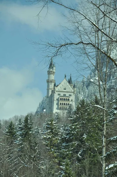 Una Vista Panorámica Del Castillo Neuschwanstein Invierno Rodeado Bosques Abetos — Foto de Stock