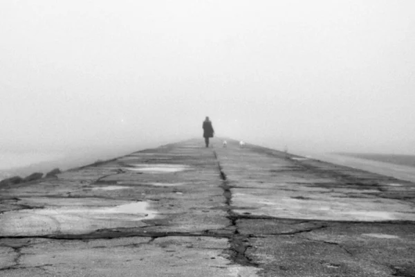 Grayscale Shot Person Walking Mysterious Trail Foggy Sky — Stock Photo, Image