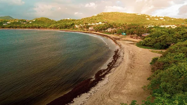 Una Vista Diurna Una Playa Caribe —  Fotos de Stock