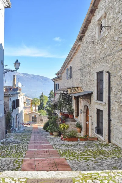 Uma Bela Vista Uma Rua Estreita Com Plantas Flores Vila — Fotografia de Stock