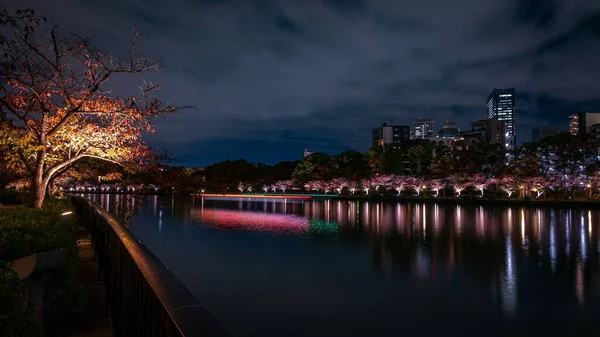 Красивый Снимок Города Виннипег Отражается Красной Реке Ночью — стоковое фото