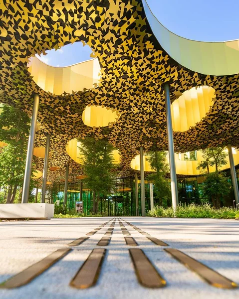 Vertical Shot House Music Ceiling Design Hungary — Stock Photo, Image