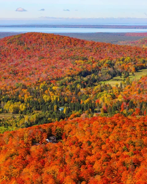 Okouzlující Pohled Zalesněné Hory Během Podzimu Newfoundlandu — Stock fotografie