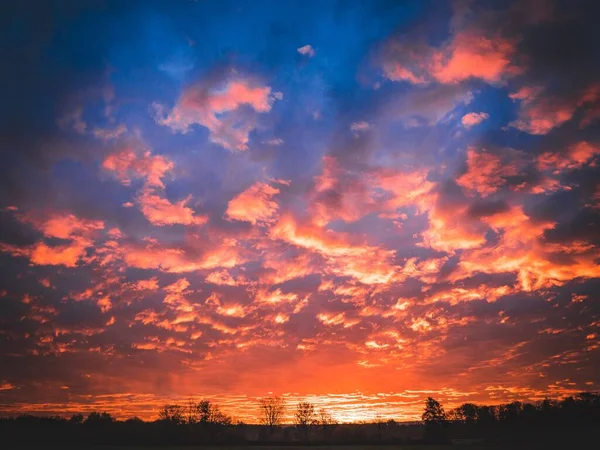 ドイツの木々のシルエットよりも明るい色の息をのむような夕日 — ストック写真
