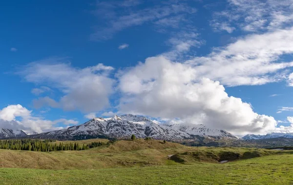 Kaunis Maisema Vihreillä Pelloilla Lumipeitteisiä Vuoria Pilvinen Taivas — kuvapankkivalokuva
