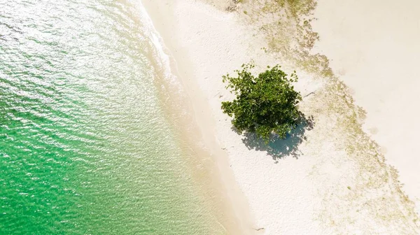 Widok Powietrza Plażę Karaibach — Zdjęcie stockowe