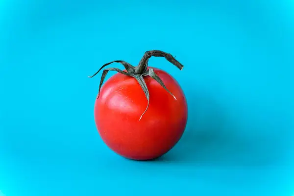 배경에 분리되어 토마토의 — 스톡 사진