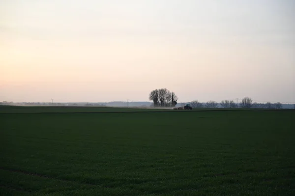 Una Vista Fascinante Una Puesta Sol Dorada Sobre Campo —  Fotos de Stock