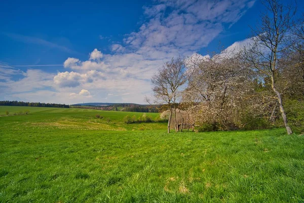 Gyönyörű Zöld Mező Fák Kék Alatt Türingiai Erdő Németország — Stock Fotó