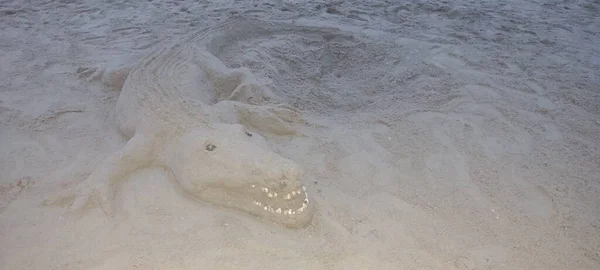 海滩上的一种由沙子做成的鳄鱼 — 图库照片