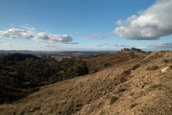 Una Vista Aérea Paisaje Rodeado Árboles Crecimiento Bajo Cielo Azul — Foto de Stock