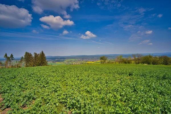 Eine Schöne Grüne Wiese Und Bäume Unter Blauem Himmel Thüringer — Stockfoto