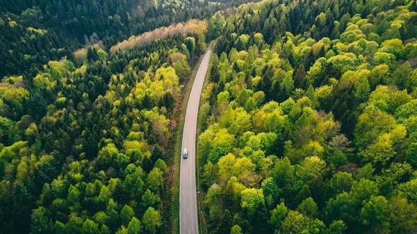 Повітряний Вид Ліс Німеччині — стокове фото
