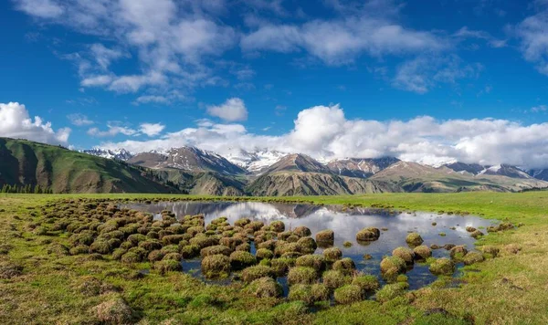 Krásná Krajina Rybníkem Zelená Pole Sníh Zakryté Hory Zamračená Obloha — Stock fotografie