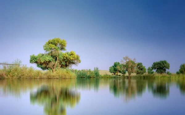 海岸に生えている木々の反射が穏やかな湖 — ストック写真