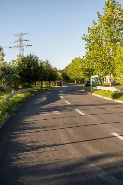 Tiro Vertical Uma Estrada Asfalto Com Árvores Rua Bernata Poznan — Fotografia de Stock