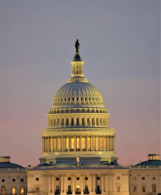 ABD 'nin Washington DC' deki Amerikan Bayrağı ile Birleşik Devletler Kongre Binası 'nın dikey gece görüntüsü