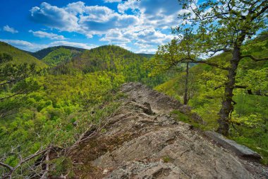 Parlak gökyüzünün altındaki dağlarda yeşil Thüringen Ormanı ile manzaralı bir manzara.