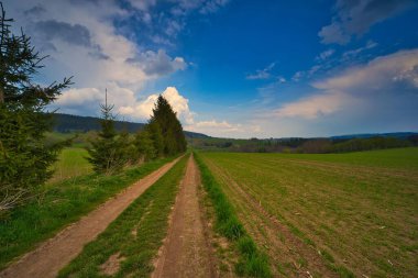 Kasvetli gökyüzünün altındaki tarlaların arasında, kırsal alanda dar bir toprak yol.