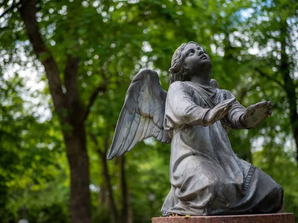An angel statue with the hands in front on the grave with dense green trees