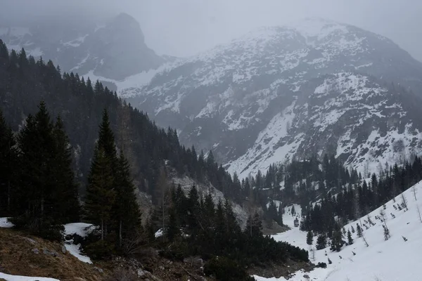 Een Schilderachtig Uitzicht Besneeuwde Bergen Met Prachtige Bomen Een Mistige — Stockfoto