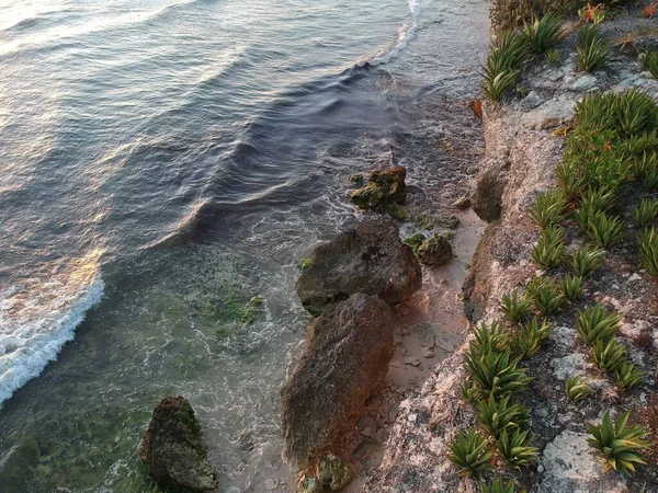 Yaz Boyunca Karayip Sahilinin Güzel Bir Manzarası — Stok fotoğraf