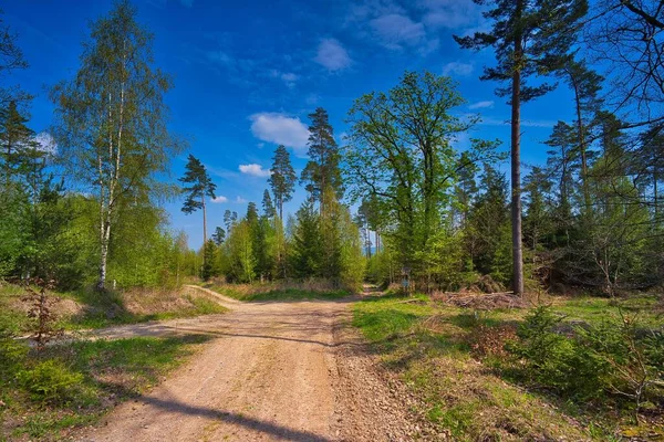 Paysage Pittoresque Avec Chemin Étroit Milieu Forêt Thuringienne Sous Ciel — Photo