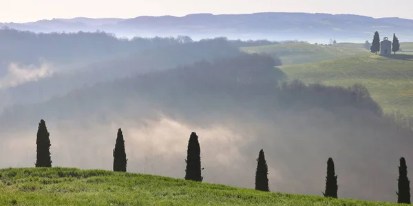 Toscane Landschap Bij Zonsopgang Met Beroemde Cipressen Mistige Groene Vallei — Stockfoto