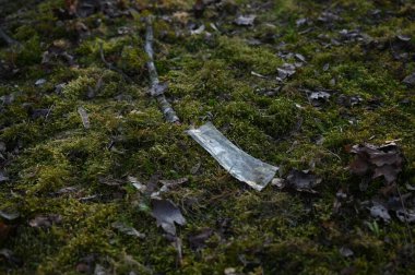 Ormanda plastik bir çöp yığını.