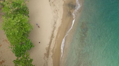 Yaz boyunca Karayip sahilinin güzel bir manzarası.