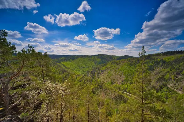 Eine Malerische Landschaft Mit Frühlingsbäumen Und Dem Thüringer Wald Auf — Stockfoto